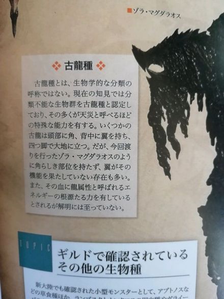 高效選礦技術(shù)解析：精準(zhǔn)開采流程與實(shí)用技巧